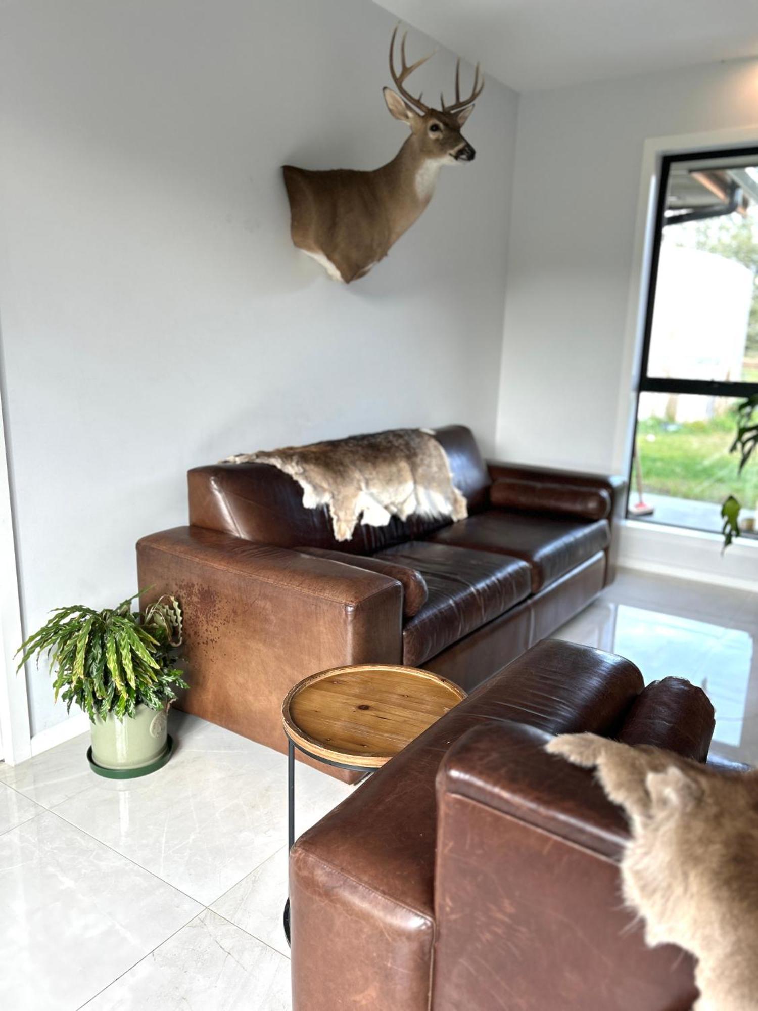 Tarras Serenity Haven - Mountain Views And Calm מראה חיצוני תמונה